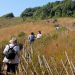 Private Kew Mae Pan Trail Doi Inthanon, 2 Waterfalls walk with elephants, Luxury Treetop Dining 