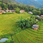 Pa Pong Piang Rice Terraces Tour Doi Inthanon, 3 Waterfalls walk with Elephants