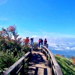 Full Day Doi Inthanon +Kew Mae Pan Nature Trail +Elephant Waterfall Walk +Lunch Treehouse