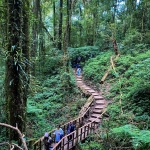Private Kew Mae Pan Trail Doi Inthanon, 2 Waterfalls walk with elephants, Luxury Treetop Dining 