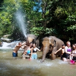 Full Day Long Neck Karen Chiang Mai +Elephant Waterfall Walk +Rafting +Lunch in Treehouse 