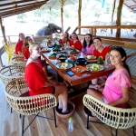 Full Day Triple Acts: Ethical Elephant Care, 3 Waterfalls Walk with Elephants, Bamboo Rafting 