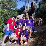 All Day Elephant Sanctuary Tour Chiang Mai, Large Waterfall Walk at Blue Tao Elephant Village