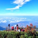 Private Kew Mae Pan Trail Doi Inthanon and Ethical Elephant Sanctuary, Treetop Dining 