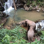All Day Elephant Care Large Waterfall Walk in Blue Tao, Lunch In Treehouse Above Waterfall