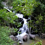 Full Day Triple Acts: Ethical Elephant, Large Waterfall Walk with Elephants, Bamboo Rafting 