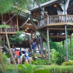 Private Bamboo Rafting Doi Inthanon, 2 Waterfalls walk with elephants, Luxury Treetop Dining 
