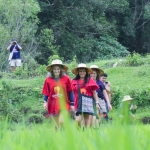 Half Day Morning Ethical Elephant Hands off, 3 Waterfalls Walk with Elephants at Blue Tao